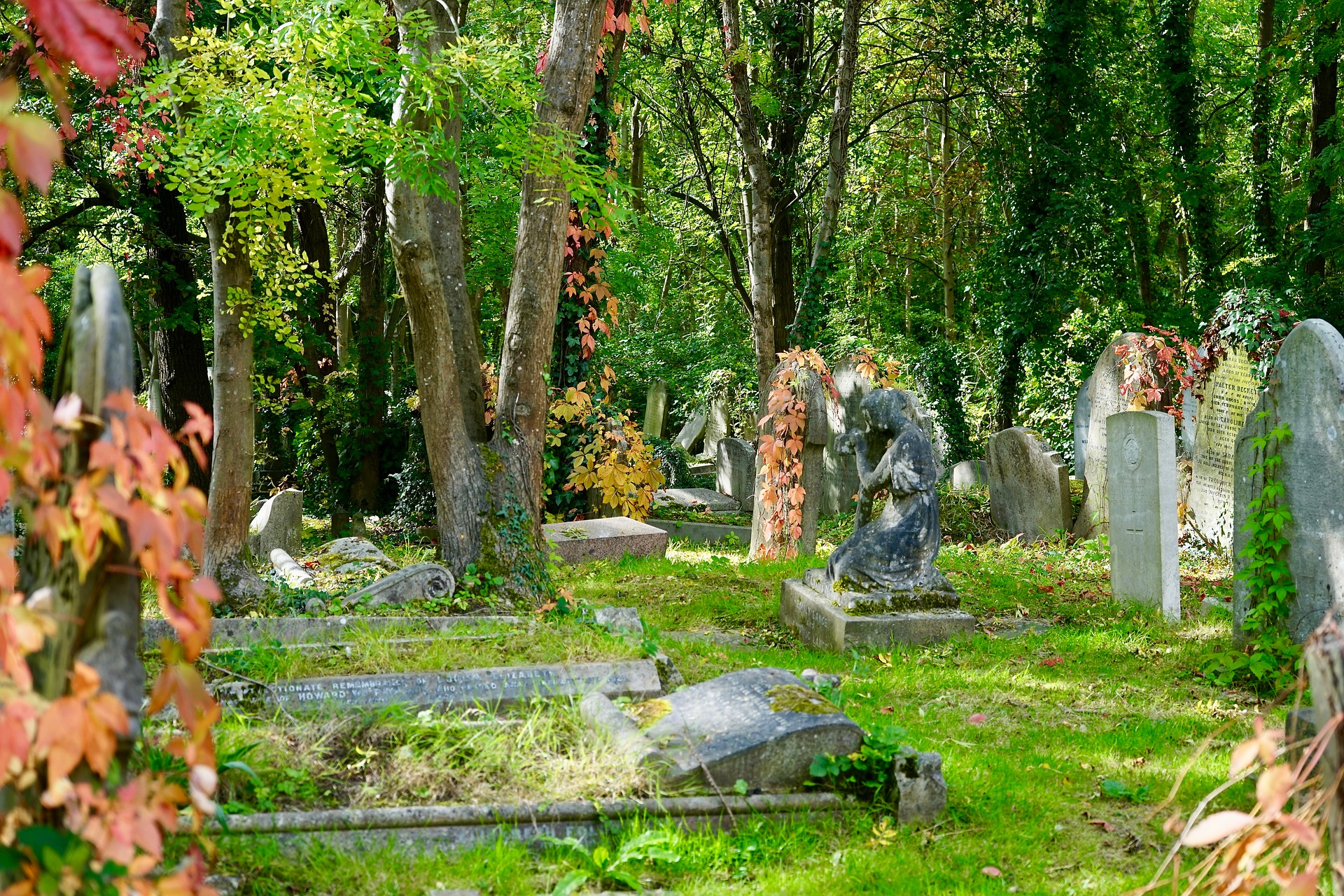 Megnéztük, hova temetheti kedvencét – szombathelyi Állatkegyeleti Park